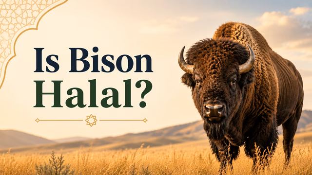 Is Bison Halal?