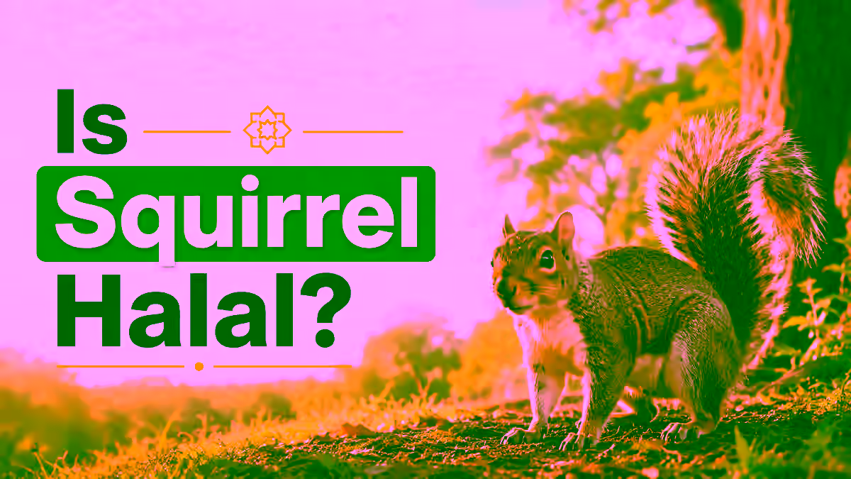 Is Squirrel Halal?