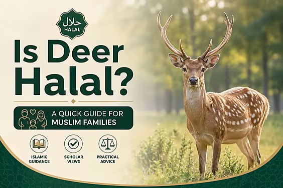 Deer standing in a forest beside the title “Is Deer Halal?” for a Muslim family guide.